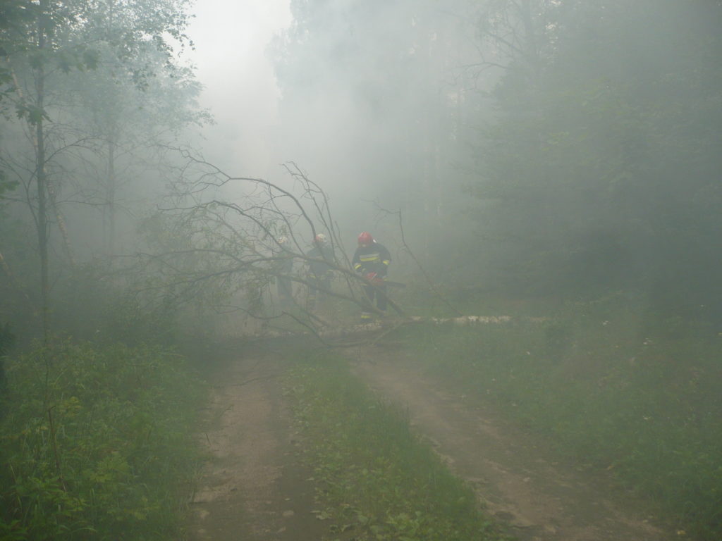 P1170196